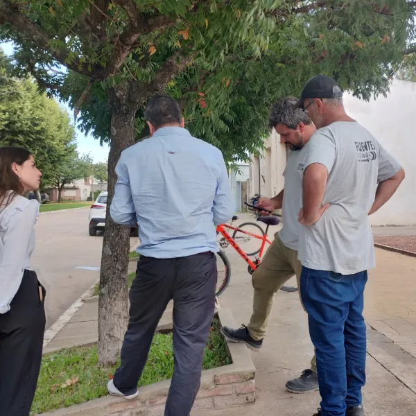 Imagen de la noticia: Seis municipios RAMCC lideran el relevamiento de árboles con la app CenArb